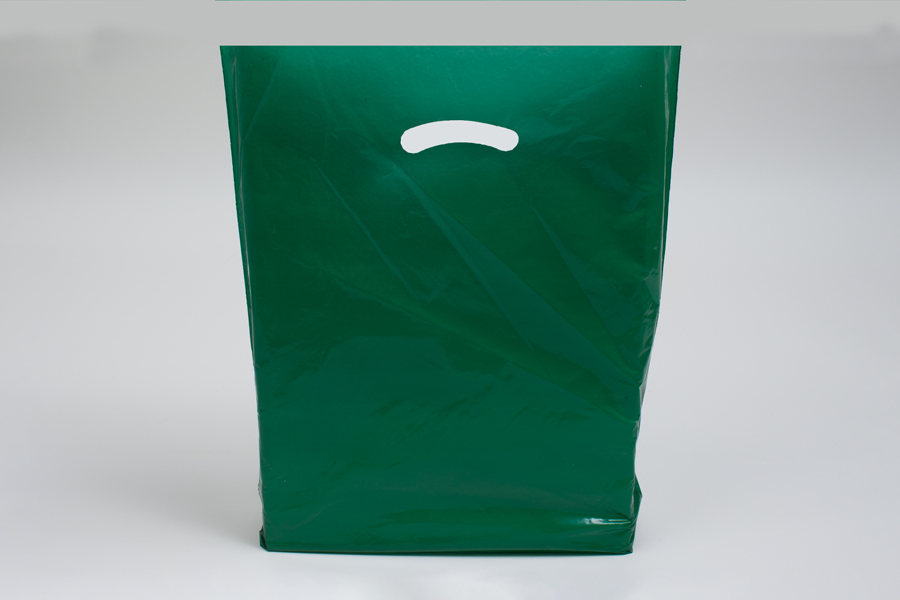 Rizzo Gloss White Paper Bag-Blank | Totally Promotional