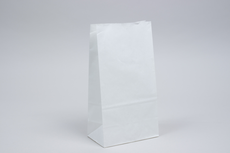 Plastic & Kraft Paper Bags for Food and Merchandise