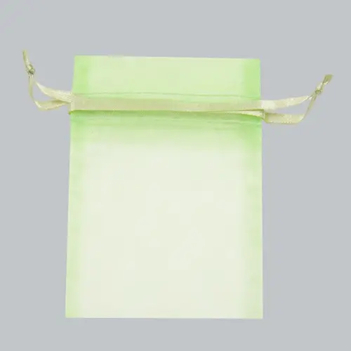 2X2.5 ORGANZA BAG-MINT GREEN