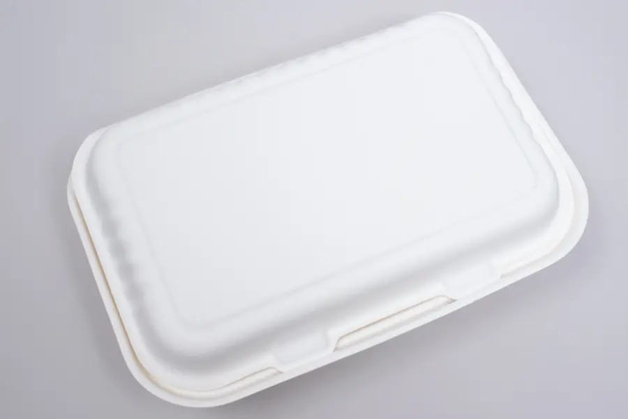 9 X 6 BAGASSE HINGE LID BOX WHITE 2 SECTION