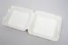 9 X 9 X 3-1/5 BAGASSE HINGE LID BOX PLA LINED WHITE 1 SECTION