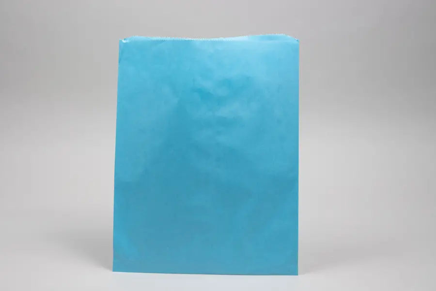 12 X 15 PAPER MERCH BAG - SKY BLUE