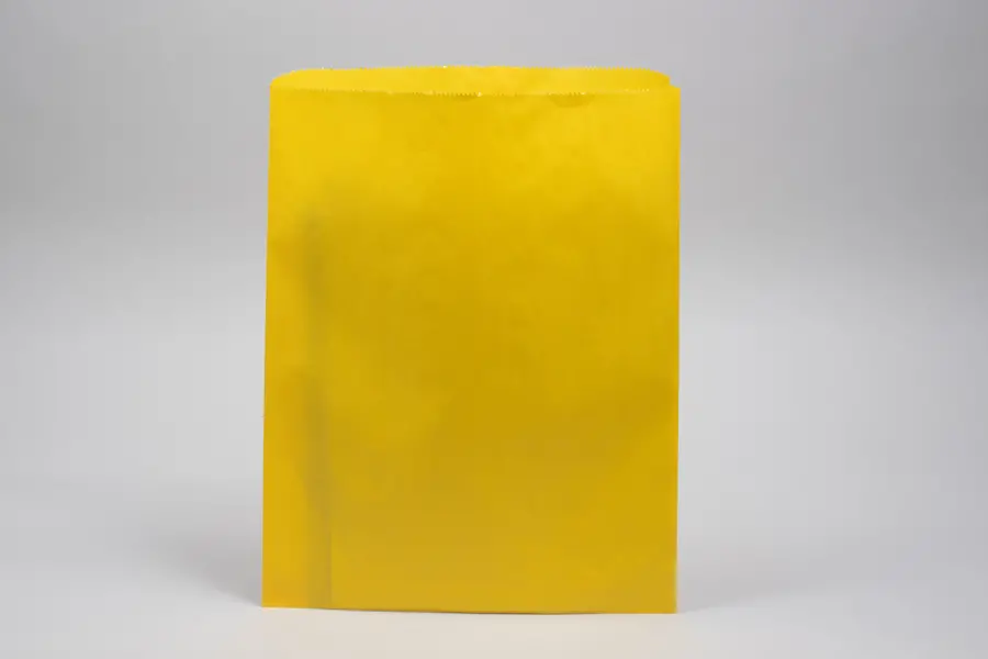 12 X 15 PAPER MERCH BAG - SUNBRITE