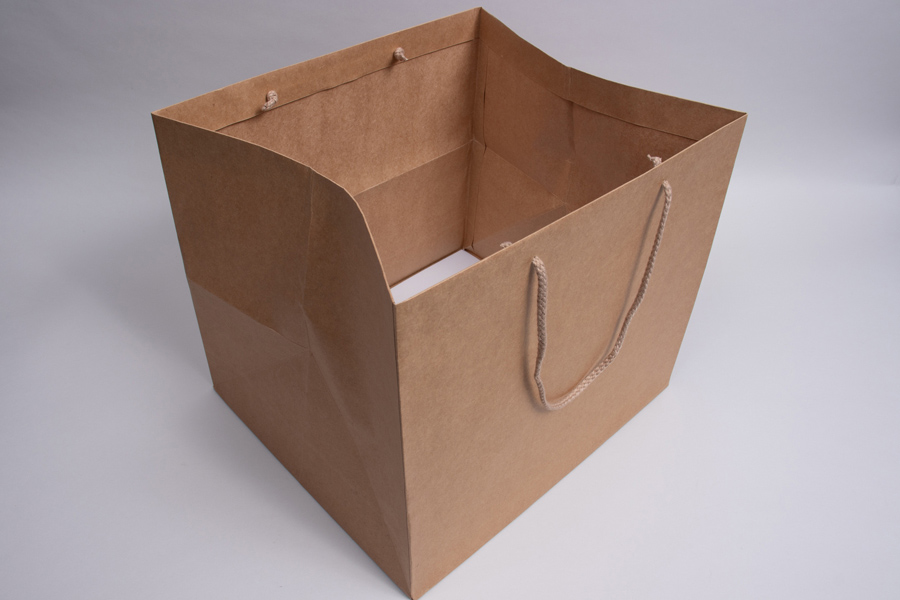 12 x 12 x 12 NATURAL KRAFT ENVIRO EUROTOTE TAKEOUT BAG