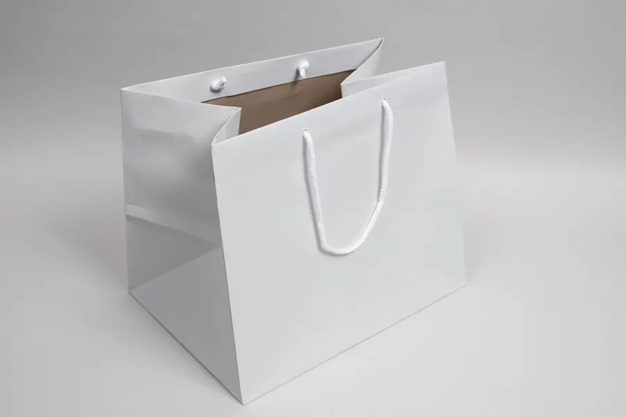 14.5X10.5X12 TAKEOUT BAG - ENVIRO WHITE EUROTOTE