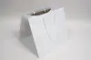 15X13X13 TAKEOUT BAG - ENVIRO WHITE EUROTOTE